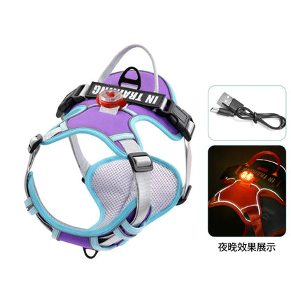 USB Rechargeable LED Dog Harness