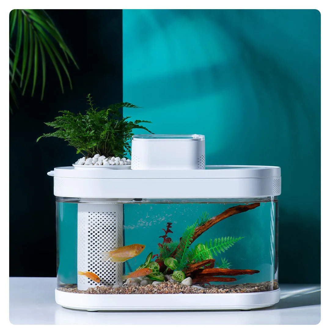 Smart Desk Top Aquarium Fish Tank Pro WiFi Box C180 Automatic Feeder RGB Light