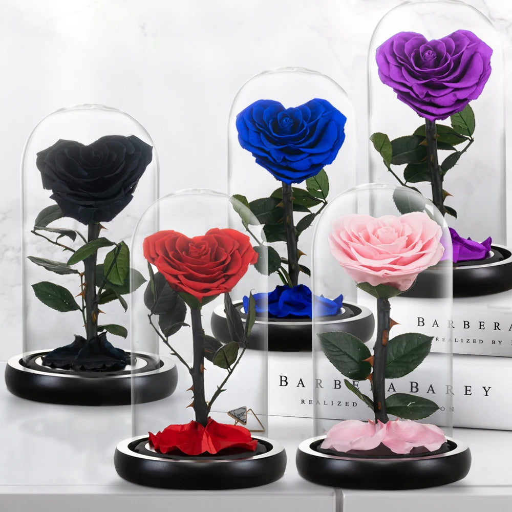 Heart Shaped Preserved Beauty and The Beast Eternal Rose In Glass Dome