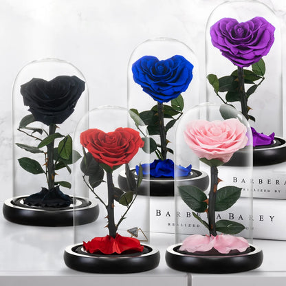 Heart Shaped Preserved Beauty and The Beast Eternal Rose In Glass Dome