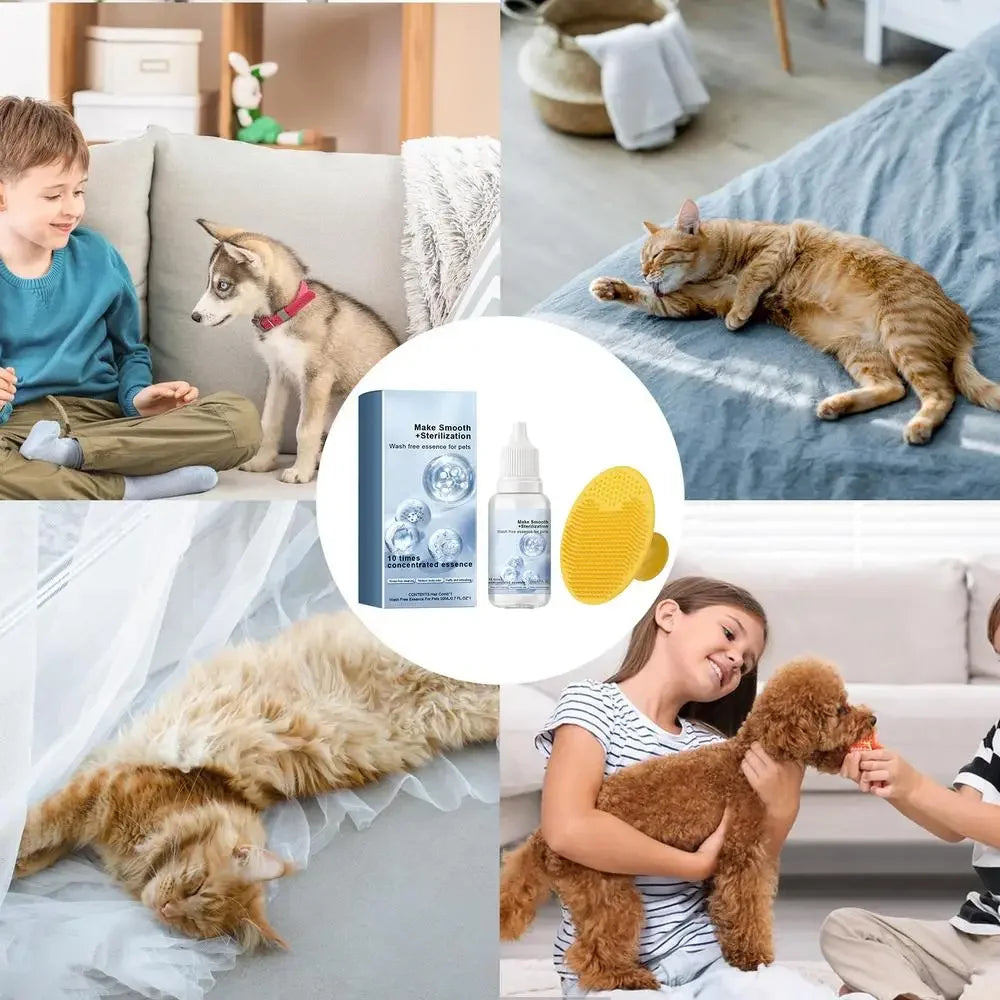 3 in1 Pet Dog Cat Steamer Grooming Massage Brush