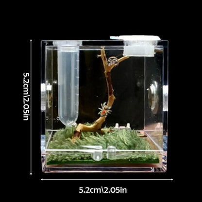 Small Reptiles Insect Breeding Feeding Box Clear Acrylic Cage