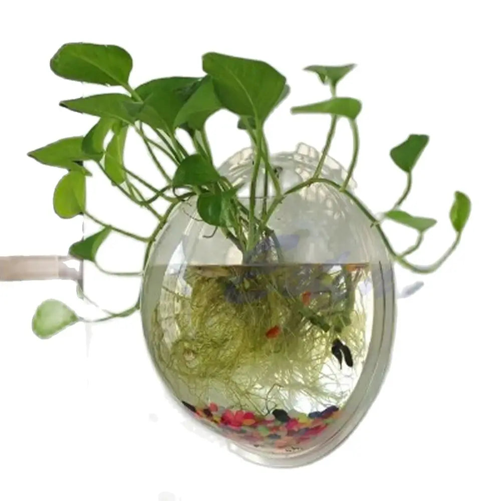 Transparent Wall Mounted Hanging Acrylic Fish Bowl Aquarium