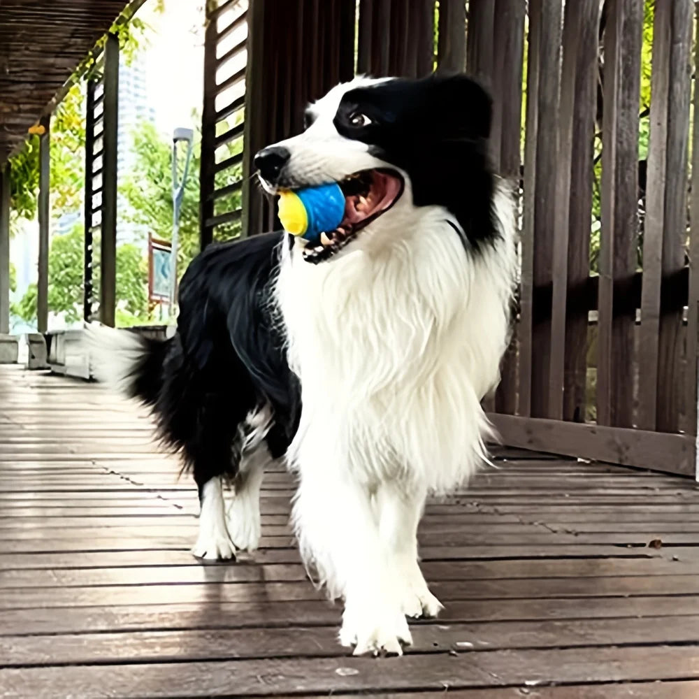 Interactive Pet Dog Durable Chew Ball Toy