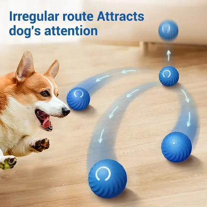 USB Interactive Pet Dog Automatic Moving Bouncing Rolling Toy Ball