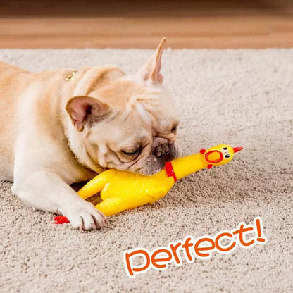 Funny Squeaky Screaming Pet Dog Chicken Chew Toys