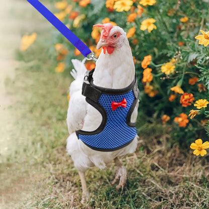 Adjustable Breathable Pet Duck Chicken Harness Vest Leash