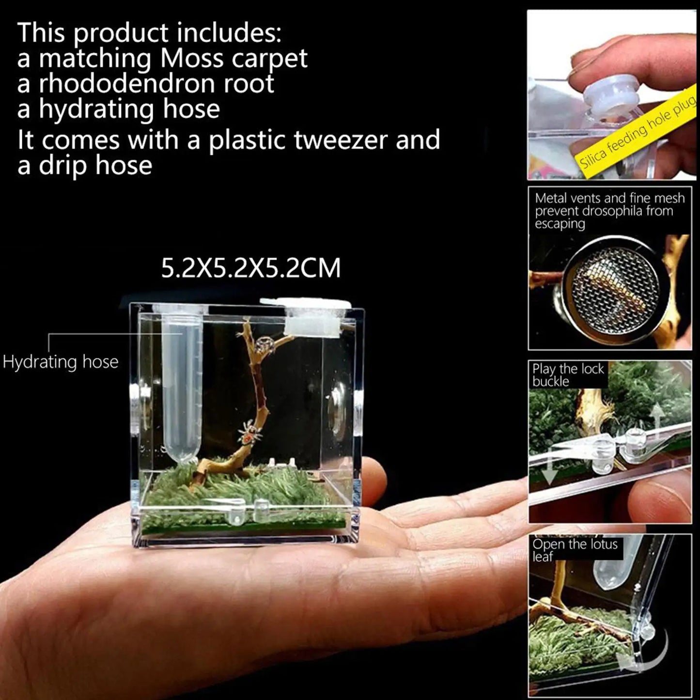 Small Reptiles Insect Breeding Feeding Box Clear Acrylic Cage