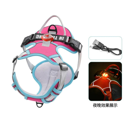 USB Rechargeable LED Dog Harness