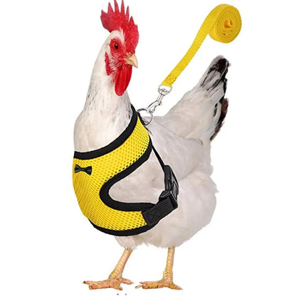 Pet Chicken Duck Vest Harness Leads Leash Set