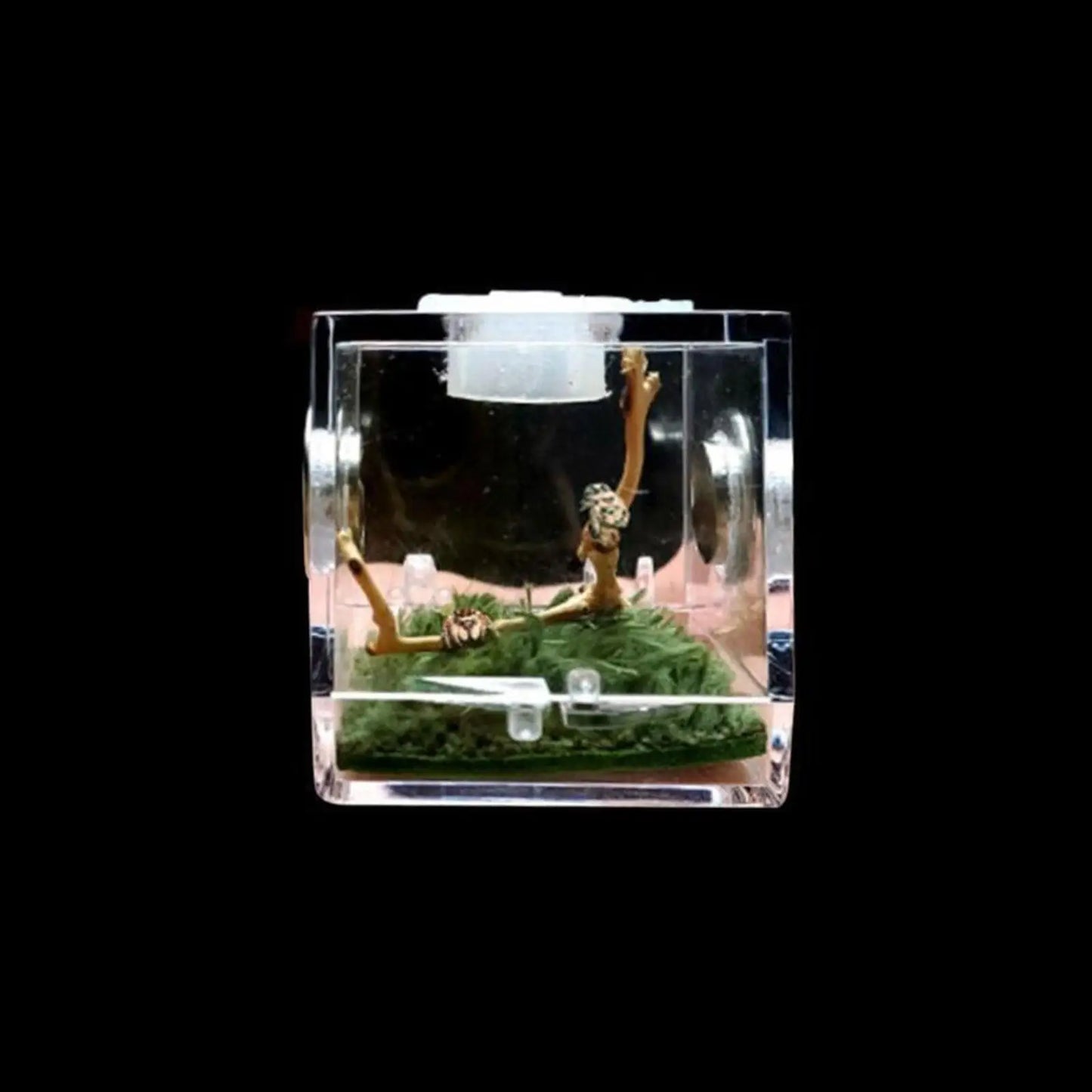 Small Reptiles Insect Breeding Feeding Box Clear Acrylic Cage