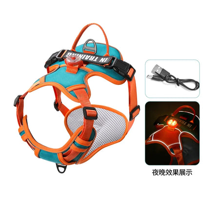 USB Rechargeable LED Dog Harness