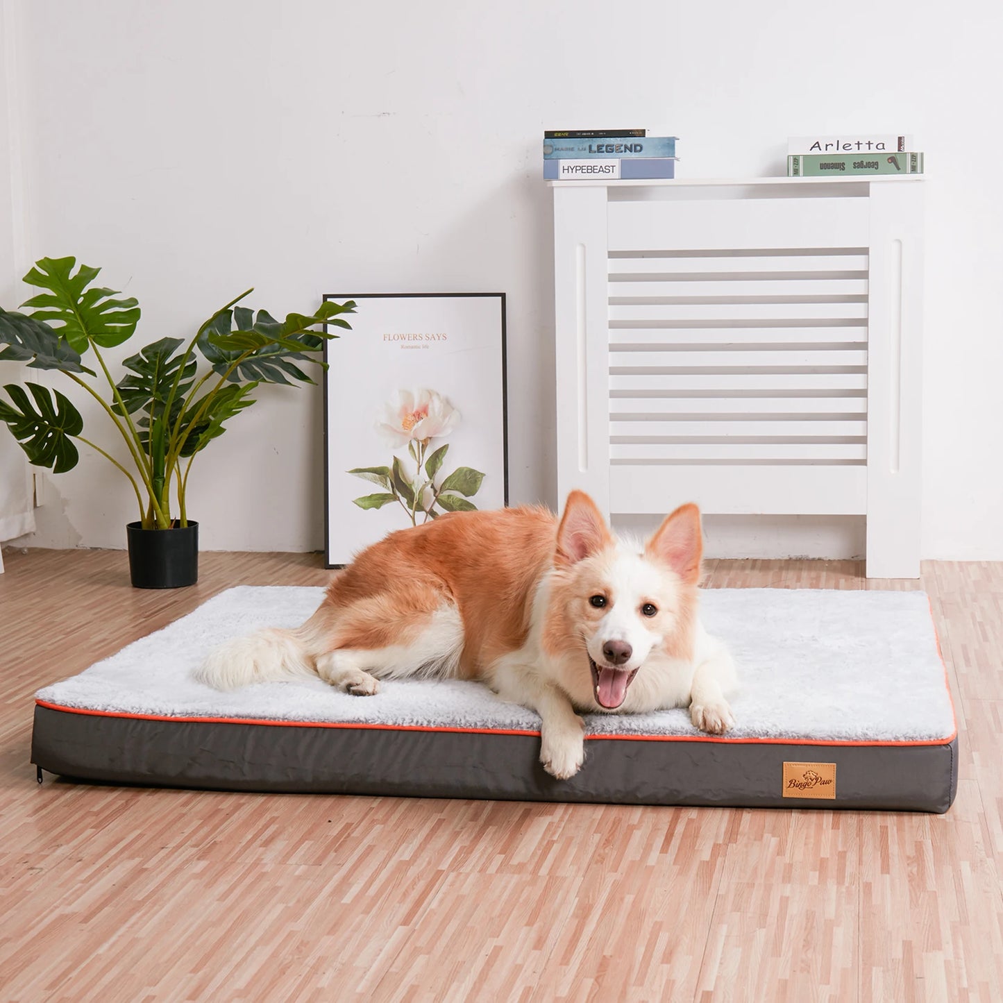 M-3XL Orthopedic Memory Foam Waterproof Pet Dog Bed Mattress with Removable Washable Cover