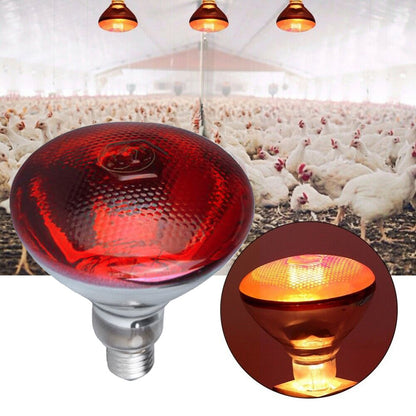 250w Infrared Heat Lamp Bulbs Quartz Glass Waterproof