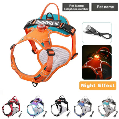 USB Rechargeable LED Dog Harness