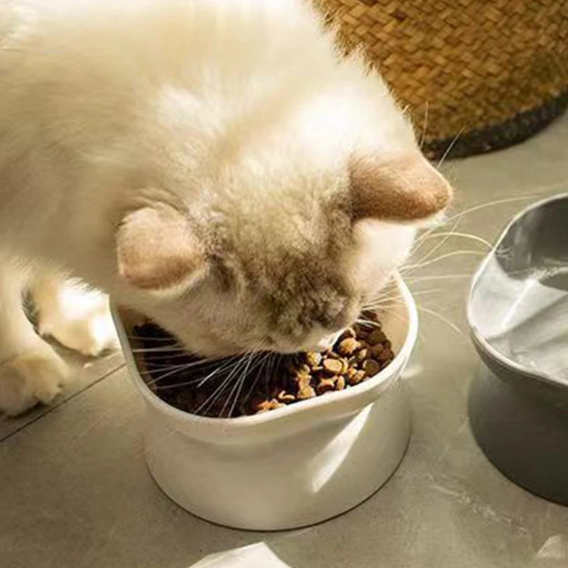 Dual-purpose Elevated Pet Cat/Dog Food Water Bowl