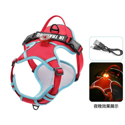 USB Rechargeable LED Dog Harness