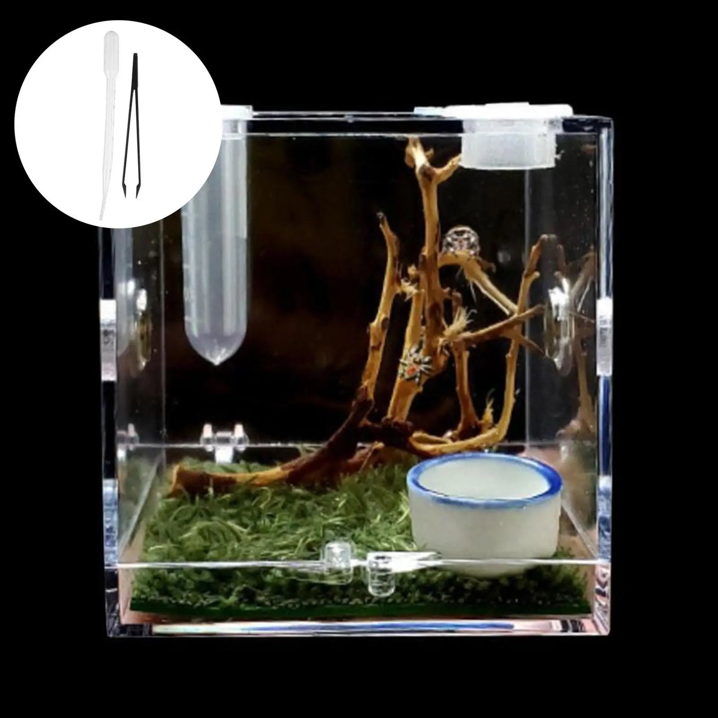 Small Reptiles Insect Breeding Feeding Box Clear Acrylic Cage