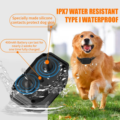 800m Electric Pet Dog Waterproof Training Collar Remote Control Rechargeable