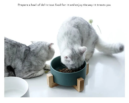 Ceramic Pet Cat Dog Water Food Feeding Bowl