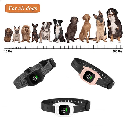 1000m Pet Dog Rechargeable Anti Bark Training Collar