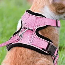 XS-S Pet Cat Harness and Leash Set