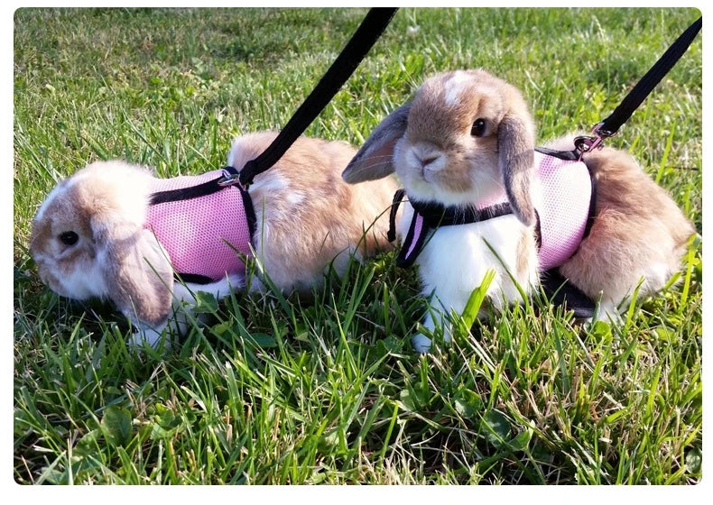 Pet Rabbit Small Animal Vest Harness and Leash Set