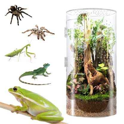 Arboreal Insect Spider Lizard Scorpion Feeding Cage Breeding Box