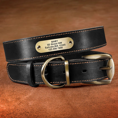 Personalized Leather Dog Collar and Leash Set