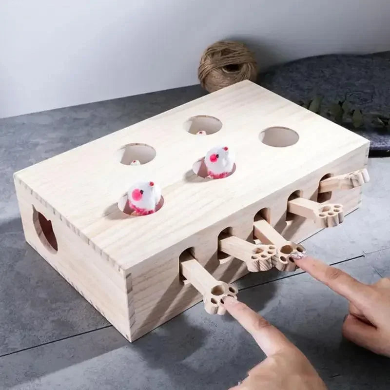 Pet Cat Maze Catch Bite Hunt Puzzle Toy