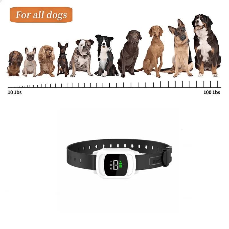 1000m Pet Dog Rechargeable Anti Bark Training Collar