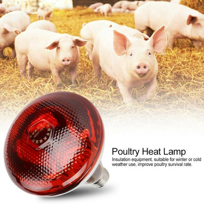 250w Infrared Heat Lamp Bulbs Quartz Glass Waterproof