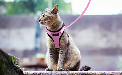 XS-S Pet Cat Harness and Leash Set