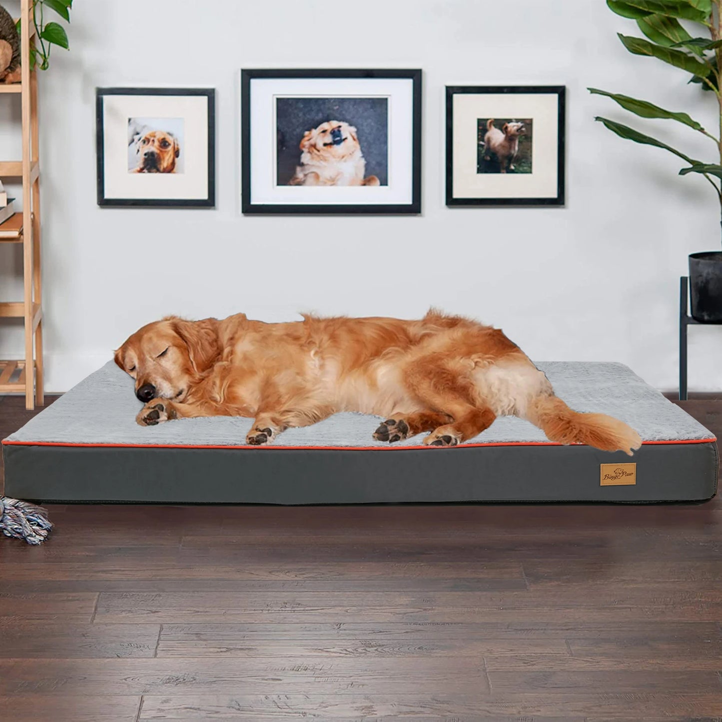 M-3XL Orthopedic Memory Foam Waterproof Pet Dog Bed Mattress with Removable Washable Cover