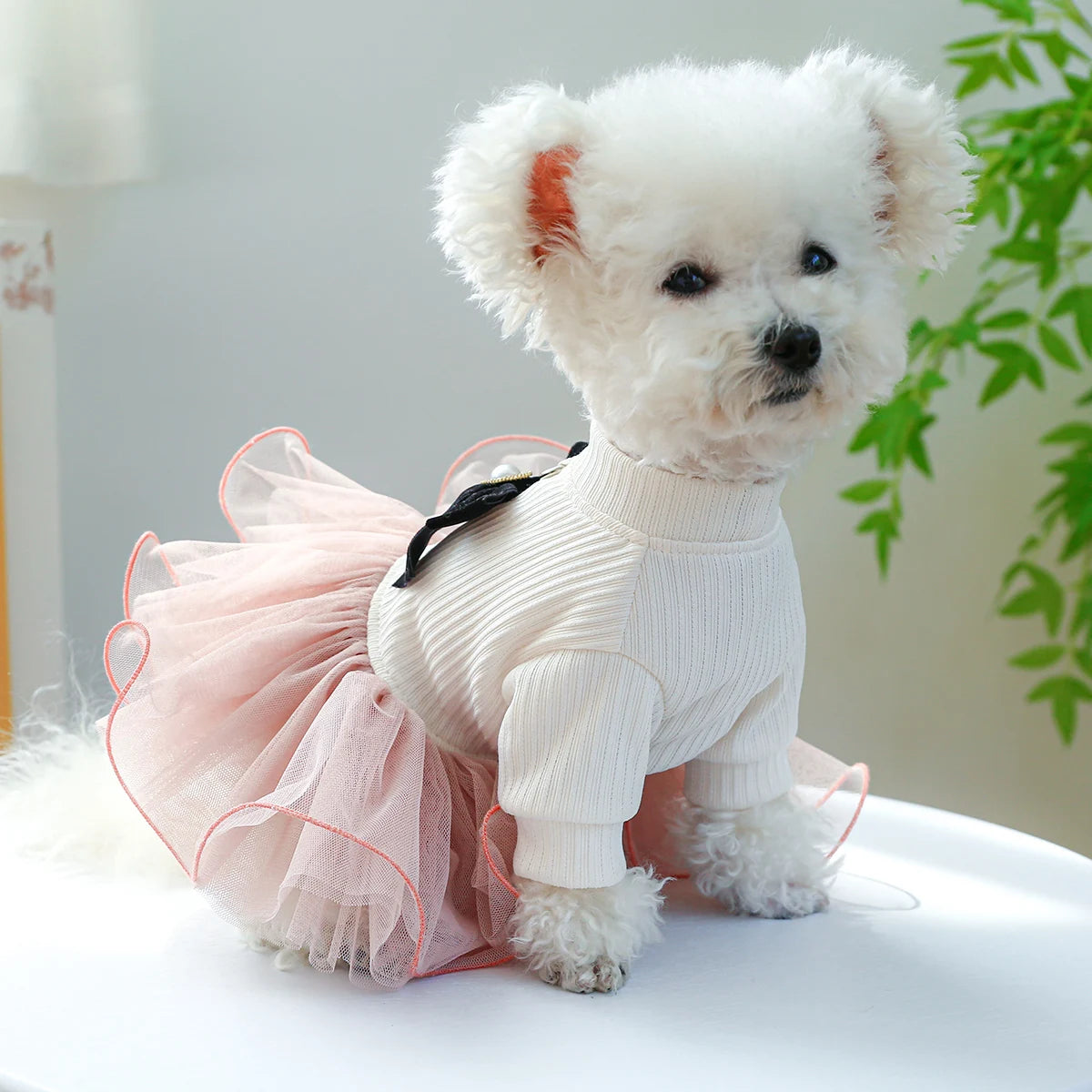 XS-XL Pet Dog Princess Dress Pink Fluffy Skirt with Buckle