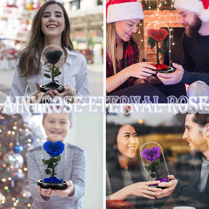 Heart Shaped Preserved Beauty and The Beast Eternal Rose In Glass Dome