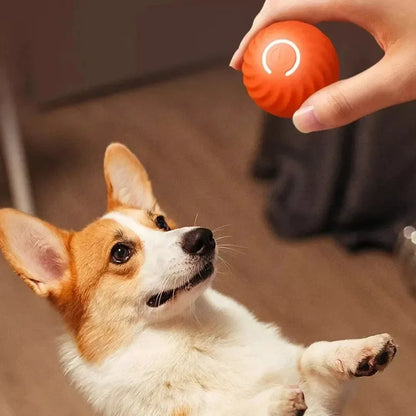 USB Interactive Pet Dog Automatic Moving Bouncing Rolling Toy Ball