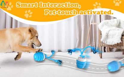 Rechargeable Smart Automatic Interactive Pet Dog Toys Ball