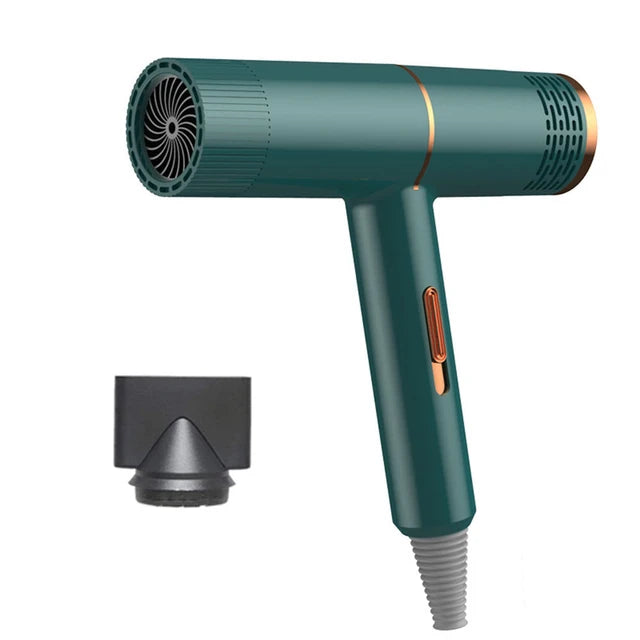 1000W Pet Dog Grooming Hair Dryer