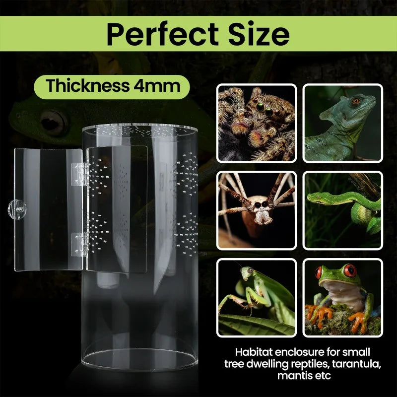 Arboreal Insect Spider Lizard Scorpion Feeding Cage Breeding Box