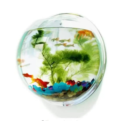 Hanging Aquarium Acrylic Fish Bowl Wall Tank