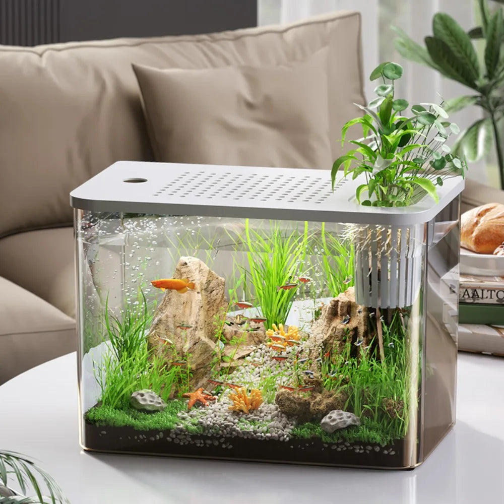 PET+ABS Desktop Mini Fish Tank Aquarium Terrarium