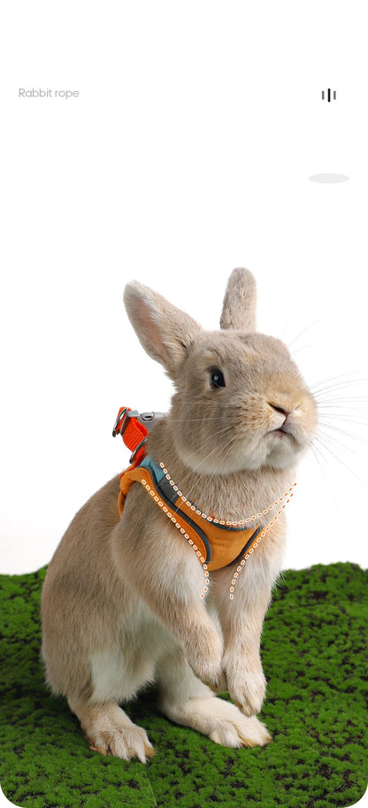 Adjustable Pet Rabbit Bunny Harness and Leash Set Double Buckle with Reflective Strips