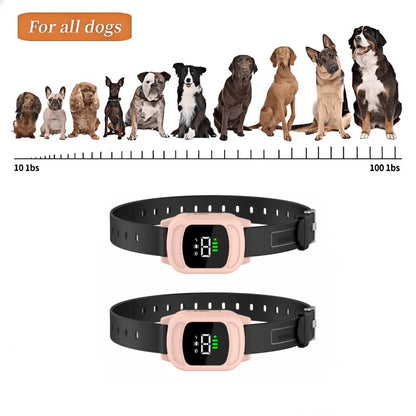 1000m Pet Dog Rechargeable Anti Bark Training Collar