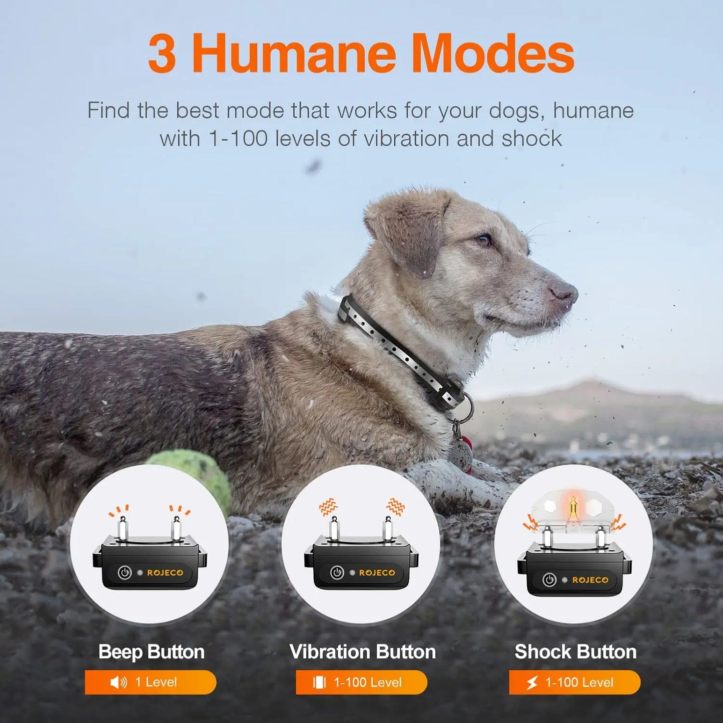 1000m Pet Dog Remote Control Rechargeable Anti Bark Training Collar