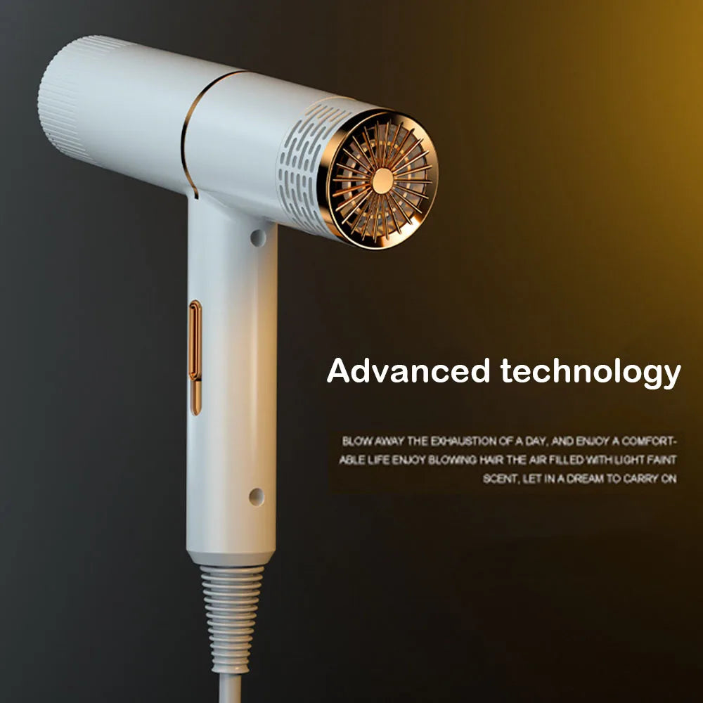 1000W Pet Dog Grooming Hair Dryer