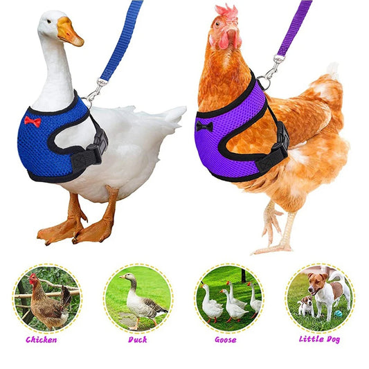 Adjustable Breathable Pet Duck Chicken Harness Vest Leash