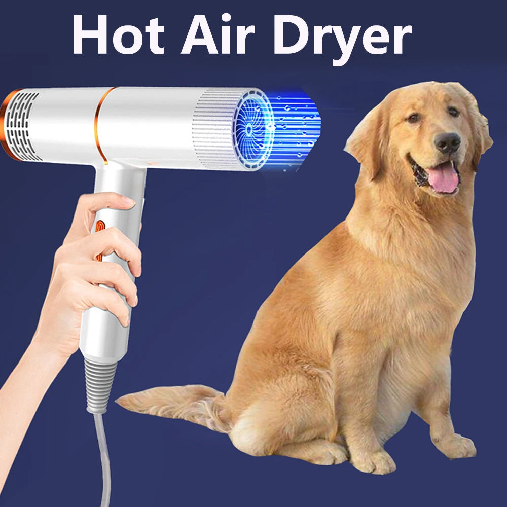 1000W Pet Dog Grooming Hair Dryer