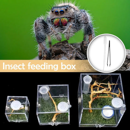 Small Reptiles Insect Breeding Feeding Box Clear Acrylic Cage