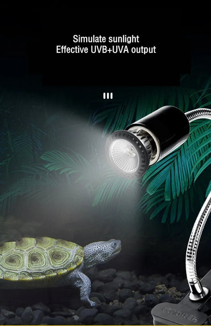 UVA + UVB LED Reptile Amphibians Heating Light Lamp Bulb